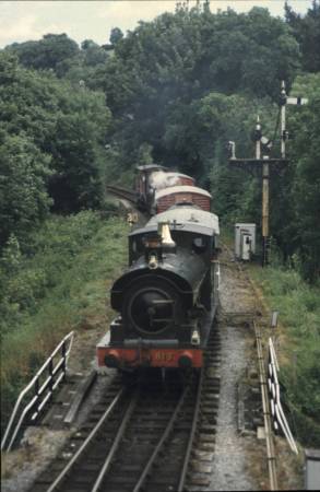 813 on a goods train at Buckfastleigh