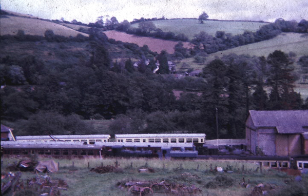 General view of Buckfastleigh yard August 1966