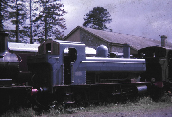 1369 in Buckfastleigh yard August 1966